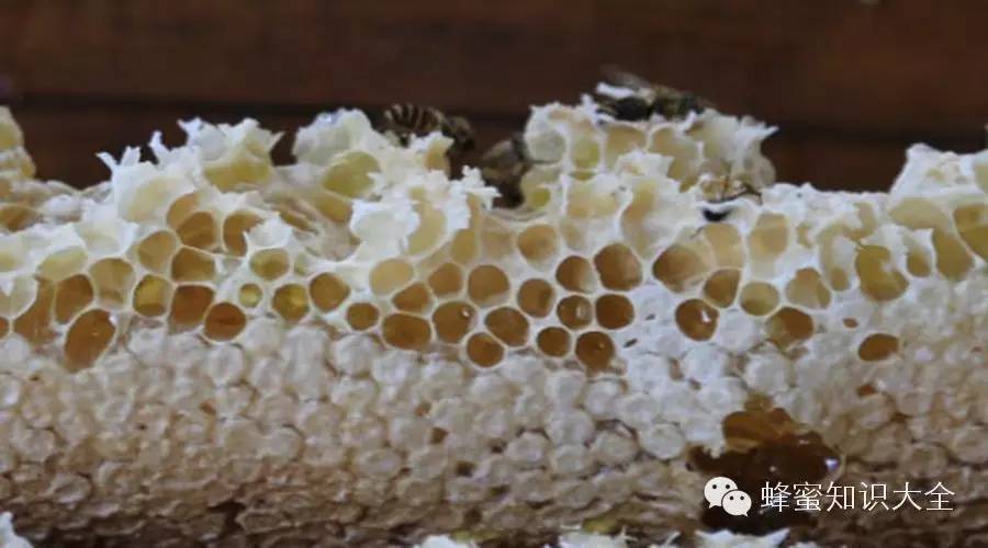 高端蜂蜜 喝蜂蜜有什么好处 怎样辨别蜂蜜的真假 蜂蜜的种类 纯天然野生蜂蜜