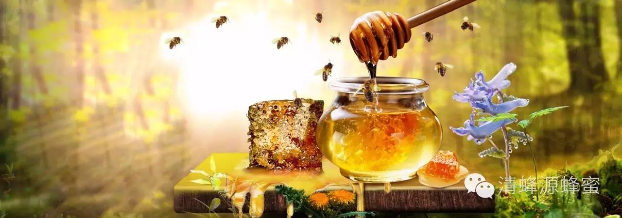 中医学上蜂蜜药用法