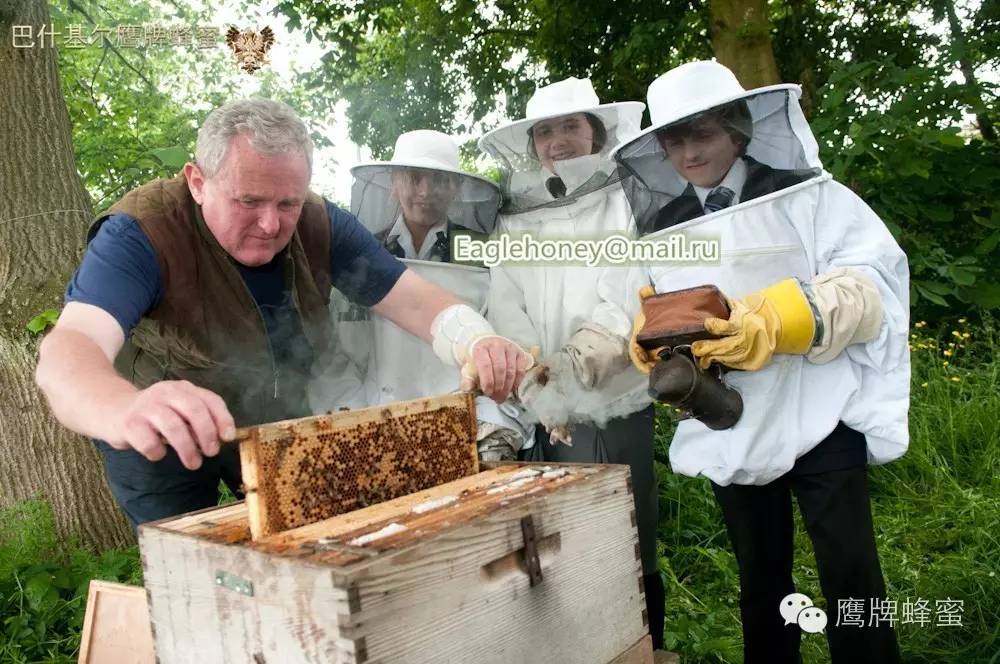 蜂蜜面膜 喝什么蜂蜜好 蜂蜜养颜 蜂蜜哪个牌子好 蜂蜜面膜怎么做
