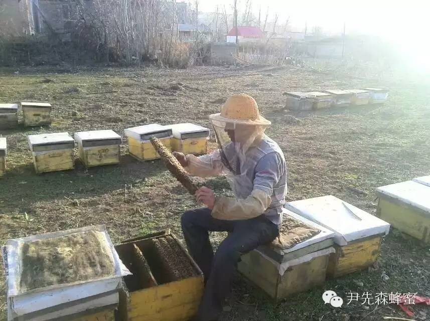 蜂蜜面霜 蜂蜜柠檬茶 纯天然农家蜂蜜 如何用蜂蜜做面膜 蜂蜜勺