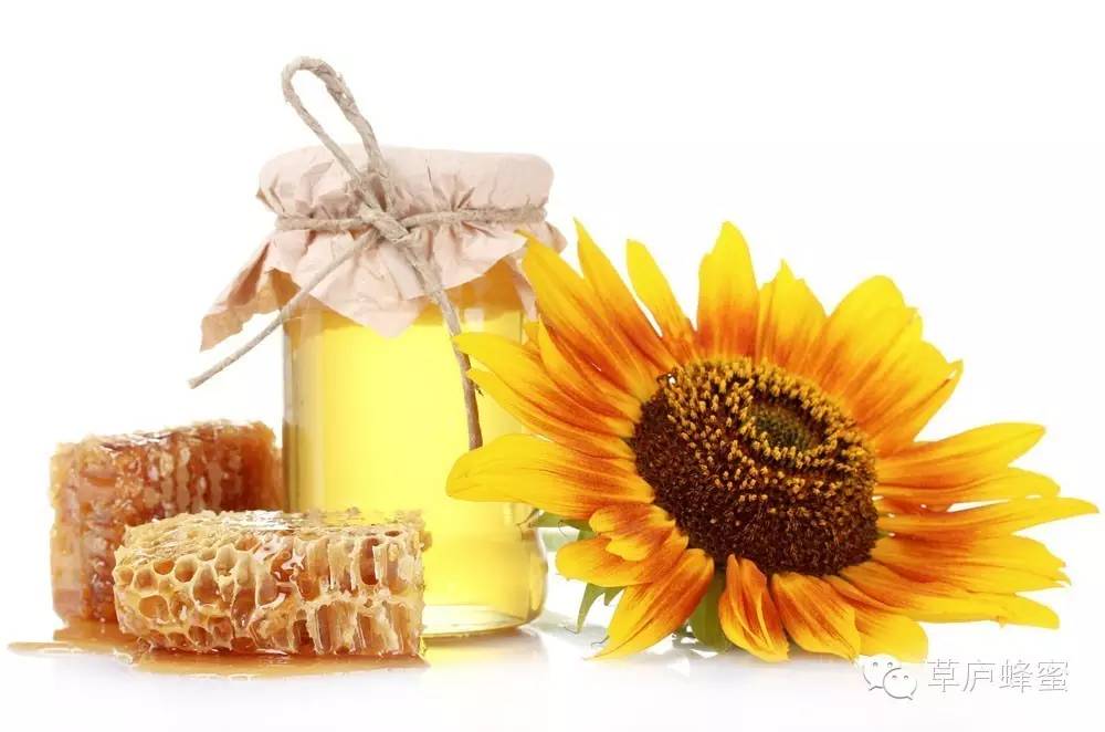 柠檬蜂蜜 浓缩蜂蜜 蜂蜜养生 恒寿堂蜂蜜柚子茶价格 蜂蜜大麻花