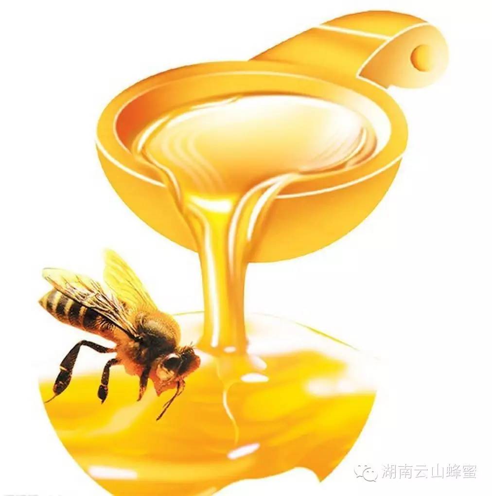 蜂蜜虽好，但腹泻胃病者别乱吃！
