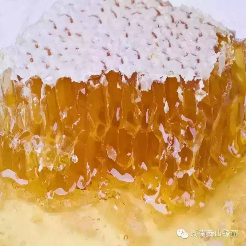 蜂蜜只是一种高浓缩的糖吗？