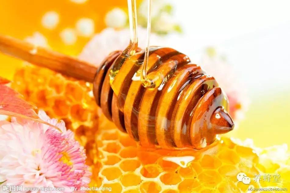 蜂蜜姜汤 蜂蜜销售渠道 什么牌子的蜂蜜最好 最好的蜂蜜品牌 蜂蜜怎么喝才好