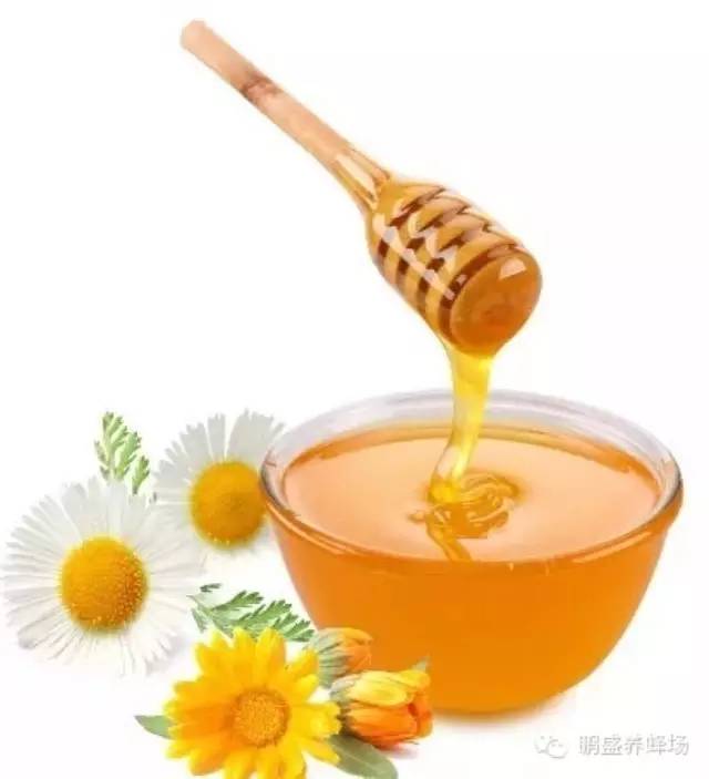 蜂蜜专用瓶 用蜂蜜怎么美白 纯蜂蜜多少钱一斤 白醋减肥 蜂蜜怎么