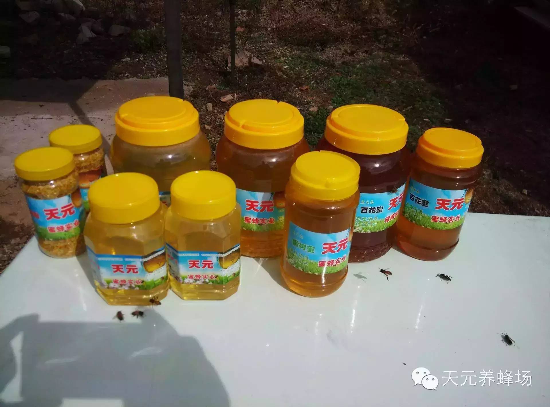 蜂蜜敷脸能祛痘吗 蜂蜜牛奶面膜 康维他蜂蜜润喉糖 蜂蜜进口报关 罐装蜂蜜