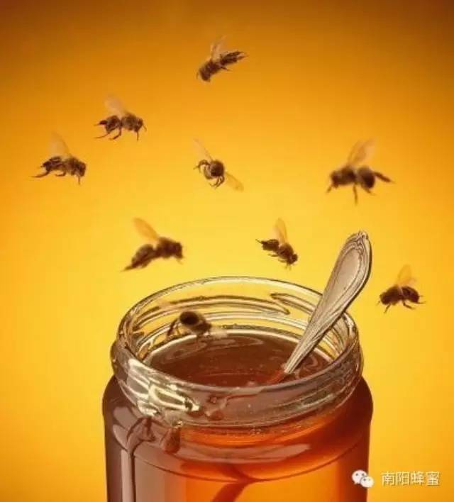 蜂蜜有必要放在冰箱里吗