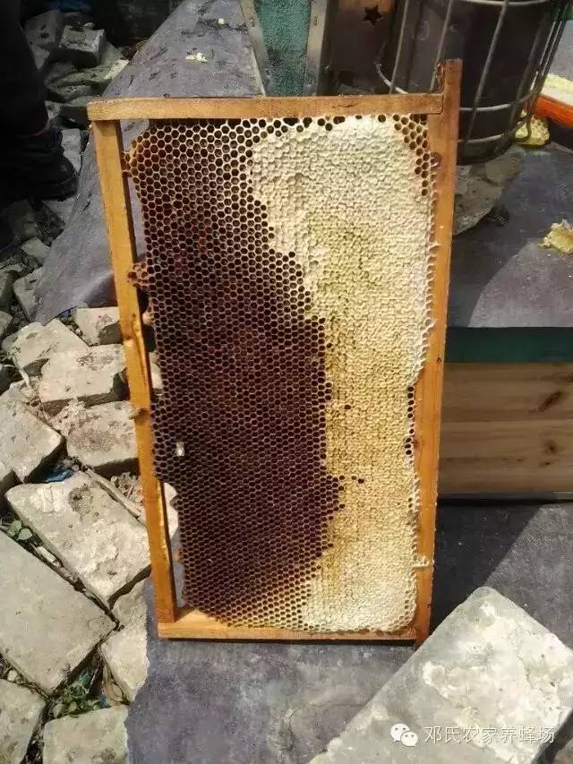 什么是成熟蜂蜜？