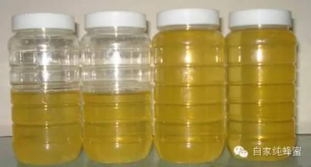 油菜花蜂蜜 鲜姜蜂蜜水的作用 comvita蜂蜜价格 蜂蜜去皱 正宗蜂蜜多少钱一斤