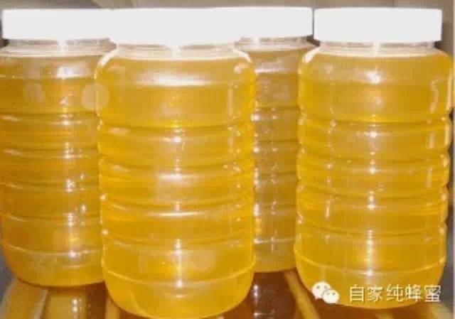 蜂蜜减肥法 正确食用蜂蜜可快速瘦身