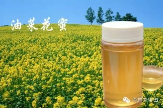 蜂蜜功效与作用 蜂蜜柠檬 蜂蜜水作用 鉴别蜂蜜 白醋和蜂蜜