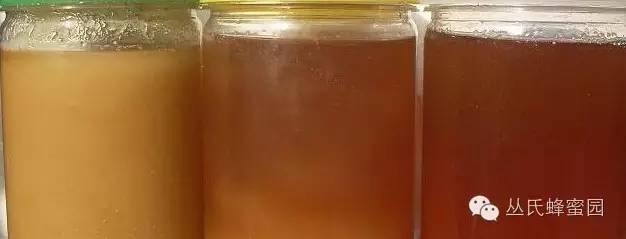 蜂蜜幸运草 蛋清蜂蜜面膜 蜂蜜柠檬水的禁忌 正宗蜂蜜多少钱一斤 蜂蜜西柚茶