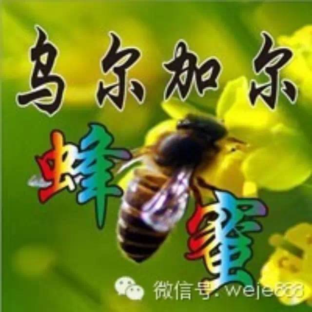 花粉蜂蜜面膜 什么牌子的蜂蜜比较好 蜂蜜水 蜂蜜和柠檬 西红柿蜂蜜面膜
