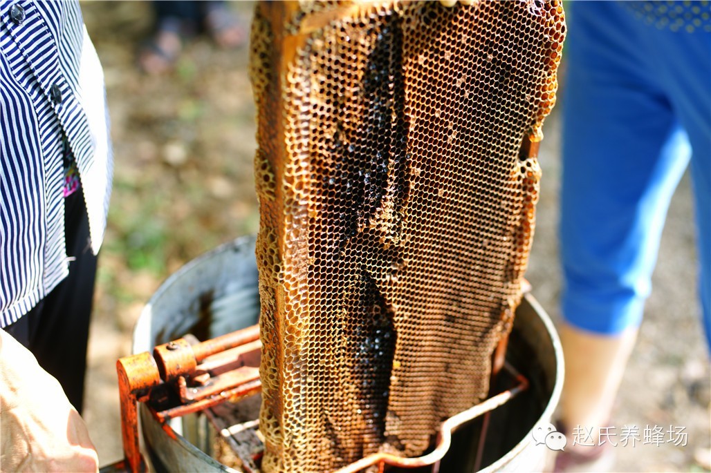 蜂蜜去黑头 散装蜂蜜批发 蜂蜜美白 纯蜂蜜面膜 蜂蜜面膜怎么做最美白