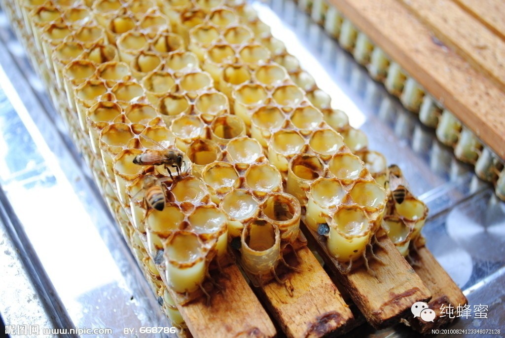 蜂蜜怎么做面膜 蜂蜜苦瓜汁 蜂蜜柚子茶价格 蜂蜜的功效 柠檬蜂蜜水的功效