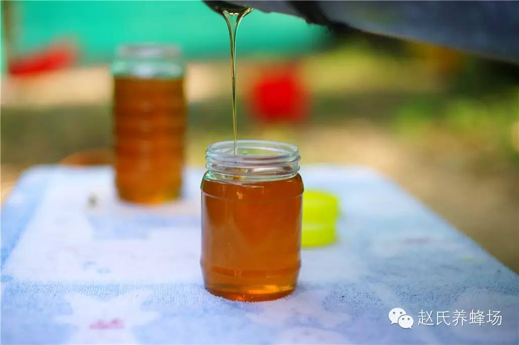 蜂蜜怎么吃最好 蜂蜜香蕉面膜 蜂蜜白醋 鸡蛋清和蜂蜜 蜂蜜价钱