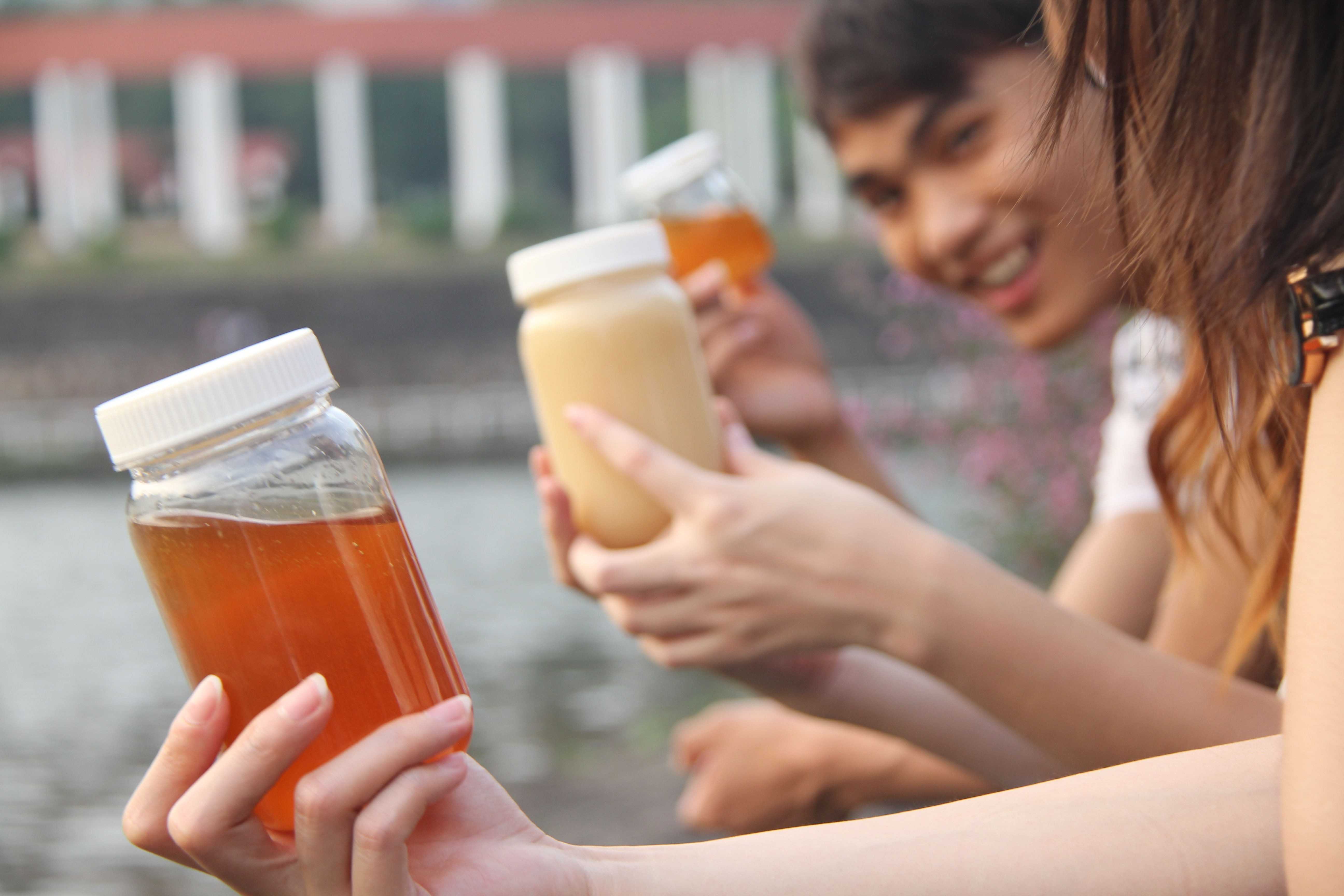蜂蜜能减肥吗 蜂蜜怎么喝 牛奶蜂蜜面膜怎么做 蜂蜜排行 牛奶蜂蜜饮