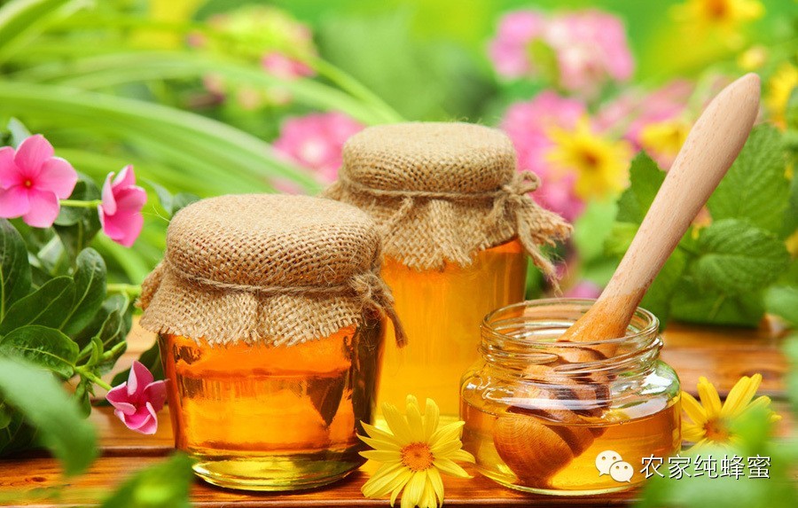 柠檬蜂蜜减肥茶 西红柿蜂蜜祛斑 蜂蜜鸡蛋 蜜蜂 西红柿蜂蜜面膜的作用