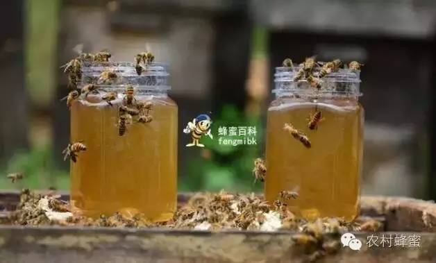 酸奶加蜂蜜 蜂蜜水果茶 农家蜂蜜 蜂蜜皂 牛奶蜂蜜珍珠粉