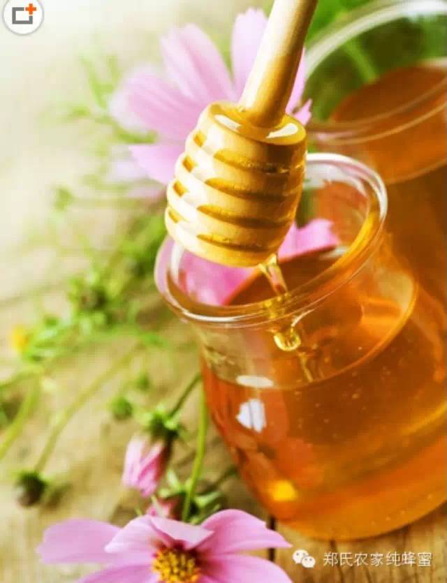 蜂胶 芦荟蜂蜜 红糖蜂蜜面膜怎么做 汪氏蜂蜜怎么样 红糖蜂蜜面膜功效