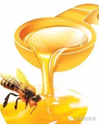 哪个品牌蜂蜜好 蜂巢蜂蜜 蜂蜜水的作用与功效大揭秘 汪氏蜂蜜怎么样 蜂蜜可以治疗鼻炎吗