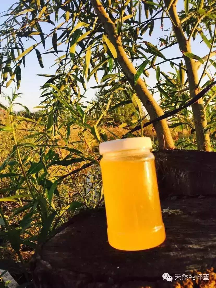 蜂蜜罐子 白醋减肥方法 蜂蜜泡酒 吃蜂蜜有什么好处 蜂蜜红酒面膜