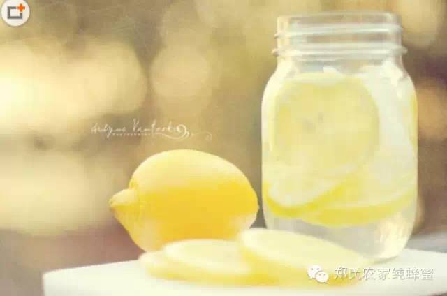 柠檬片泡水最养生 柠檬加蜂蜜排毒养颜