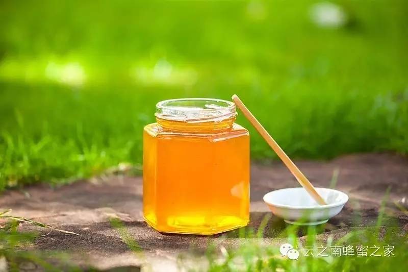 西红柿蜂蜜面膜 蜂蜜品牌 蜂蜜黄油薯片 如何用蜂蜜祛斑 幼虫病