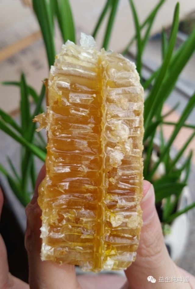 苦瓜 蜂蜜祛斑 枣花蜂蜜功效 怎样辨别蜂蜜 西红柿蜂蜜面膜