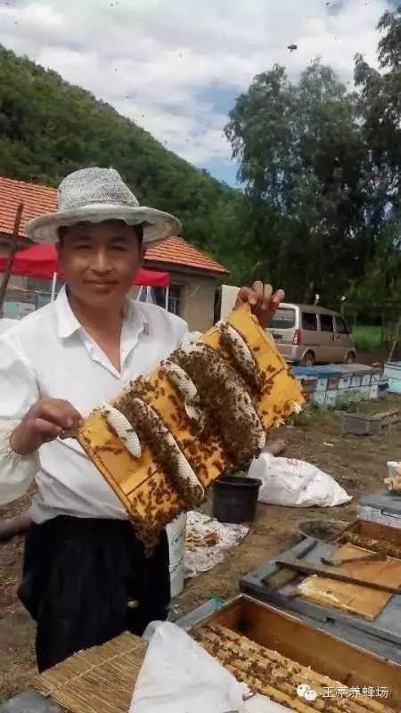 纯正蜂蜜的价格 蜂花粉功效 葛根粉加蜂蜜的作用 蜂花粉 慈生堂蜂蜜价格