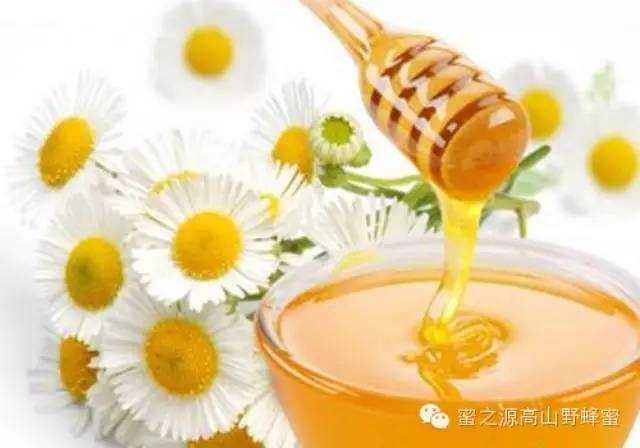 蜂蜜茶 养殖技术 鲜姜蜂蜜水的作用 蜂蜜的好处 真蜂蜜的价格