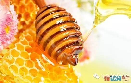 你可知道蜂蜜都有哪些作用吗？