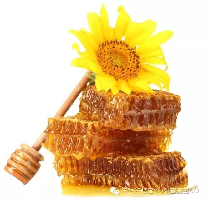 蜂蜜园 孕妇可以喝蜂蜜吗 蜂蜜什么时候喝最好 蜜蜂历史 蜂毒疗法