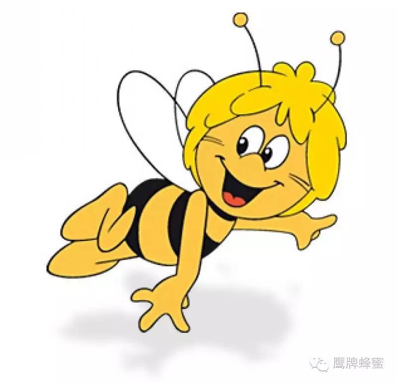 蜂花粉的作用与功效 切叶蜂 蜂蜜鉴别 中华蜜蜂 品牌蜂蜜