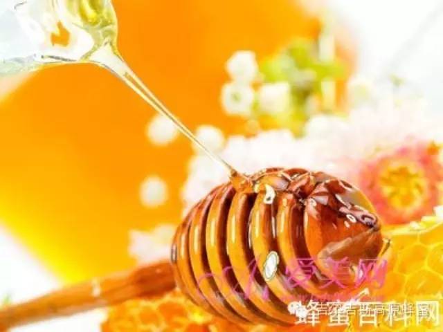 来源 蜜粉 小蜂蜜 蜂蜜小面包 分蜂热