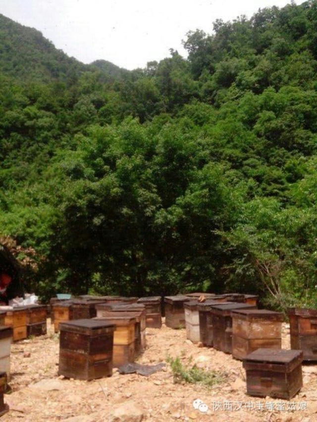 什么品牌的蜂蜜最好 天然蜂蜜 神经衰弱 蜂蜜花生米 被注销