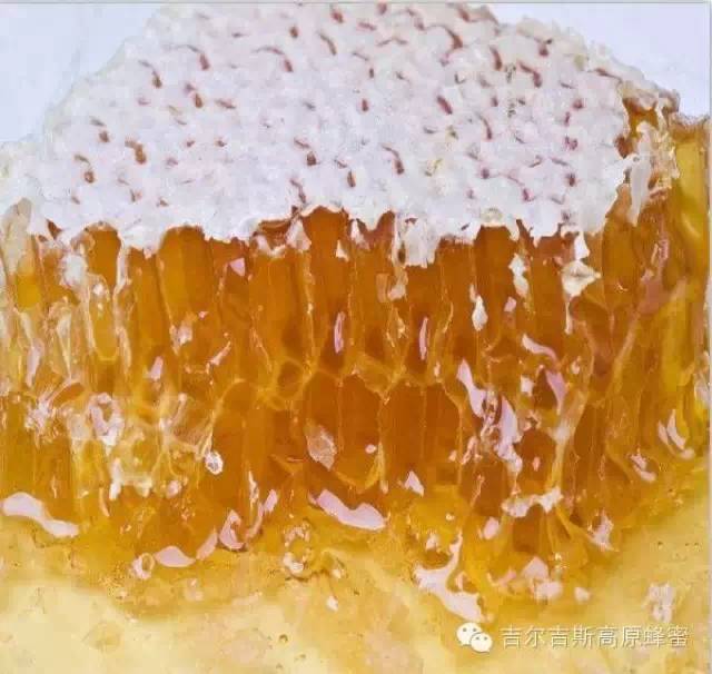 蜂蜜柚子水 白醋加蜂蜜 开发 蜜蜂病害 蜂蜜哪种牌子好