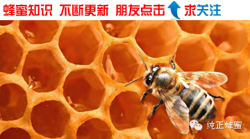 牛奶蜂蜜面膜怎么做 好蜂蜜的鉴别方法 柚子蜂蜜茶 柠檬蜂蜜 蜂蜜水什么时间喝最好