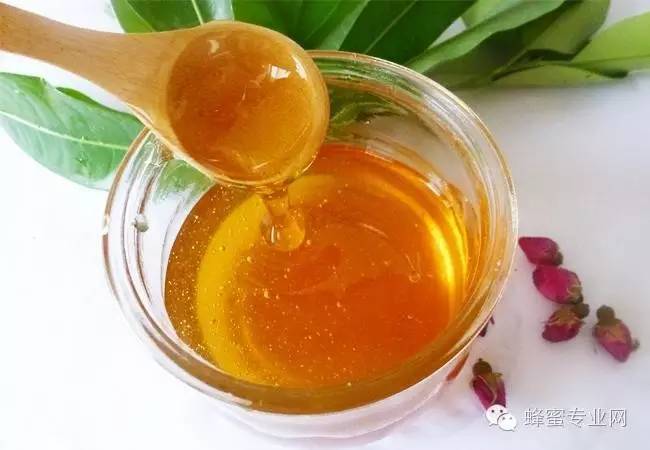 养蜂收益 绿豆蜂蜜面膜 枸杞蜂蜜 真蜂蜜价格 高端蜂蜜