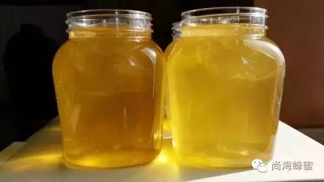 茶花粉 壁蜂 蜂蜜加工设备 土蜂蜜 首乌