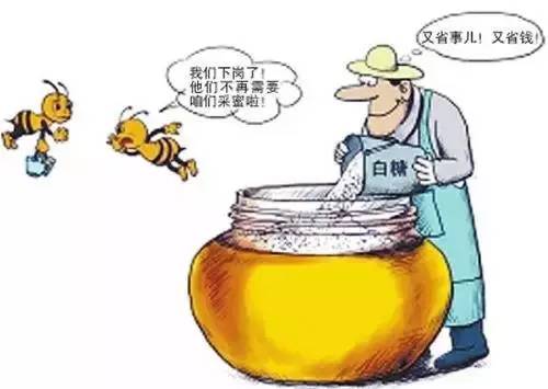 中华蜂蜜网 生姜蜂蜜水 蜂蜜柚子茶瘦身 加工技术 珍珠粉蜂蜜面膜怎么做