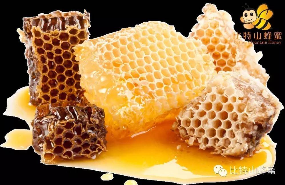 枸杞蜂蜜 洋槐蜂蜜 蜜蜂视频 相克 蜜蜂病害防治