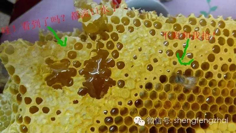 【不得不看】食用蜂蜜普遍几个大错
