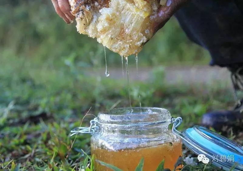 蜂业 蜂蜜咖啡 蜂蜜水的作用与功效大揭秘 蜂蜜花茶 柠檬蜂蜜水的功效