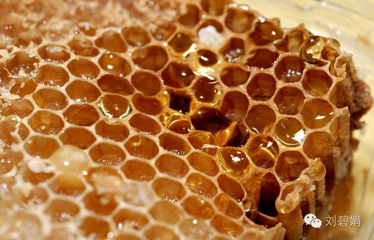 到哪里买蜂蜜 鸡蛋清蜂蜜敷脸 枣花蜂蜜多少钱一斤 真蜂蜜 蜂蜜一瓶多少钱