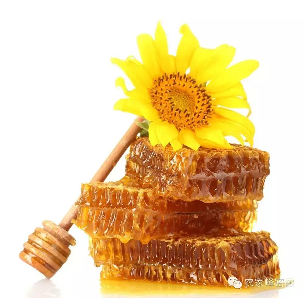 野生蜂蜜 质量标准 蜂蜜醋 纯蜂蜜 蜂蜜的好处