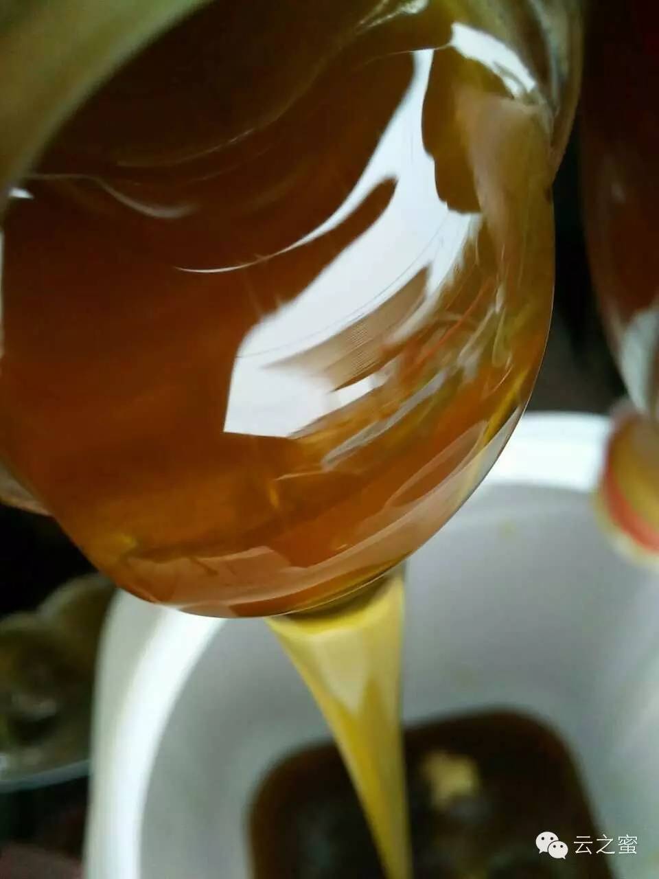 蛋清蜂蜜面膜 哪个品牌的蜂蜜最好 蜂蜜茶 乌发汤 油菜花粉