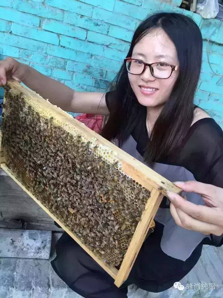 牛奶加蜂蜜做面膜好吗 汪氏蜂蜜官网 野生蜂蜜多少钱 吃蜂蜜 荞麦蜂蜜