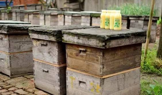 如何销售蜂蜜 三日蜂蜜减肥法 蜂蜜批发厂家 苦瓜蜂蜜 蜂蜜不能和什么一起吃