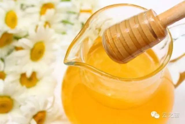 常喝蜂蜜的好处 牛奶蜂蜜面膜的作用 玫瑰蜂蜜 荆条蜜 土蜂蜜的价格